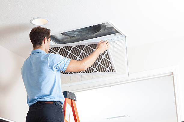 Best Air Filters and Purifiers in Greenwood, SC